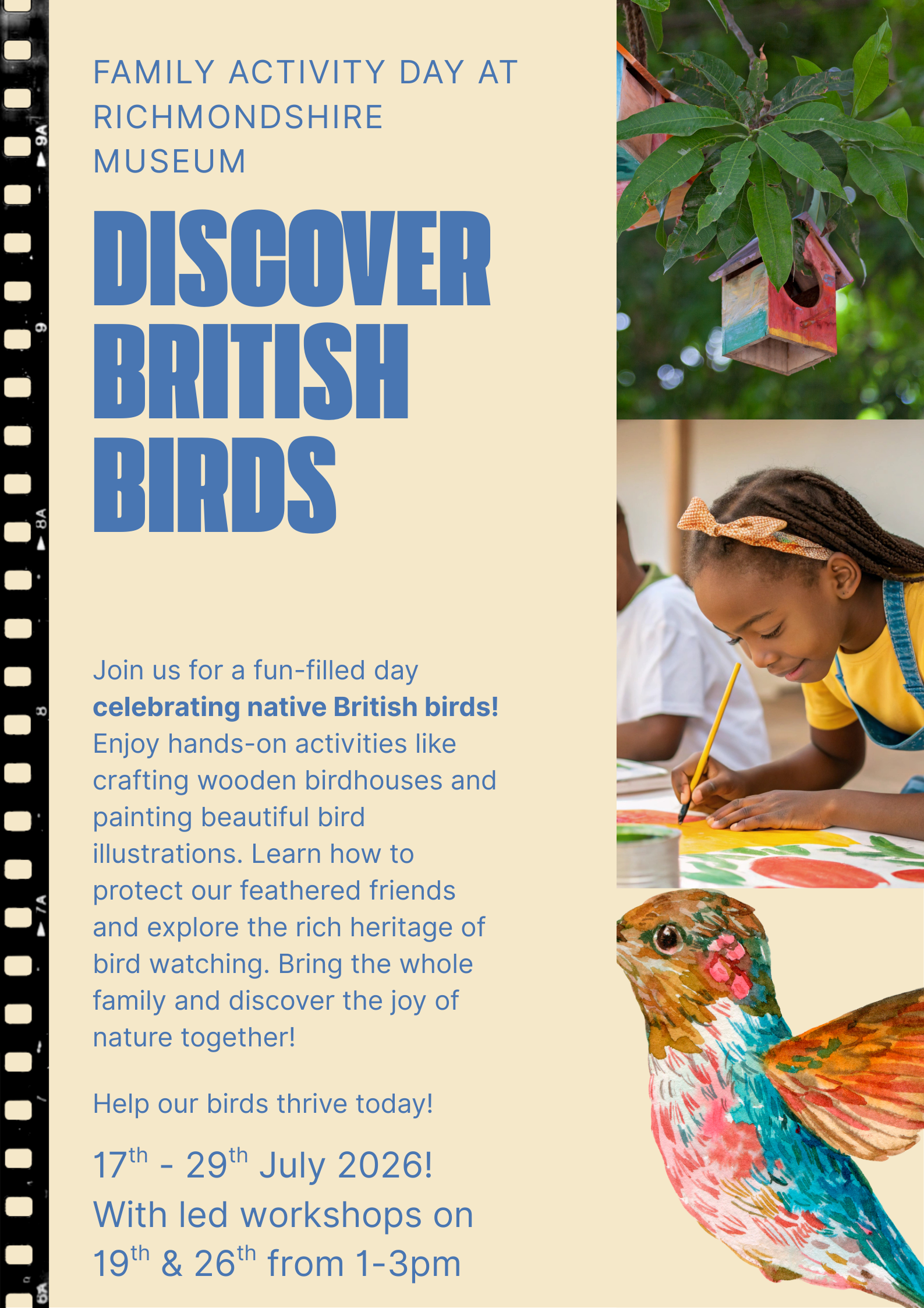 Discover British Birds at Richmondshire Museum